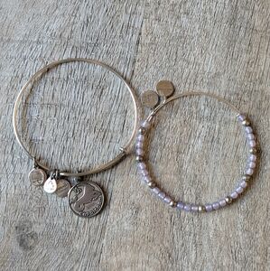 Alex And Ani Zodiac Astrology Capricorn Set Of 2 Shiny Silver Bangle Bracelets